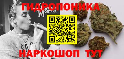 тгк Бузулук