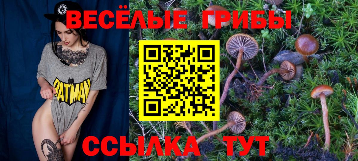 Галлюциногенные грибы Cubensis  Вход с VPN  как найти закладки  Нерюнгри 